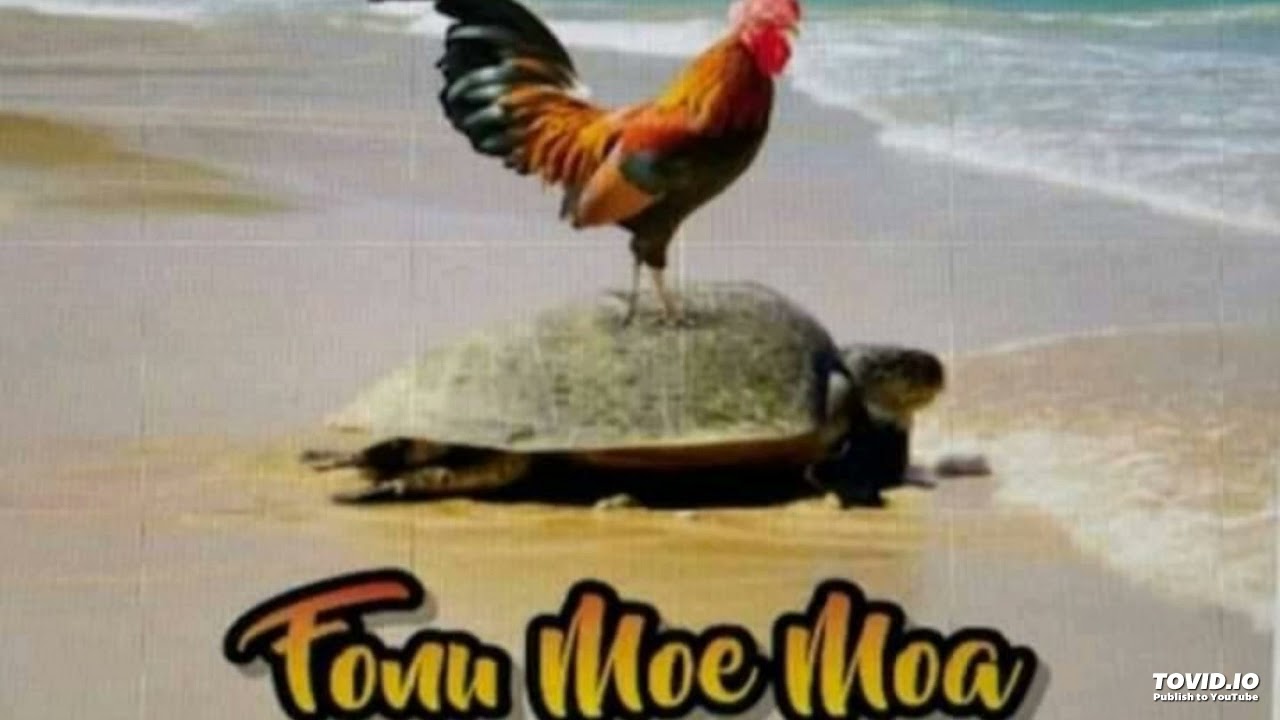 VIVILI 'E OFA NI - TUPETAIKI 'O E FUNGA VAITAKI