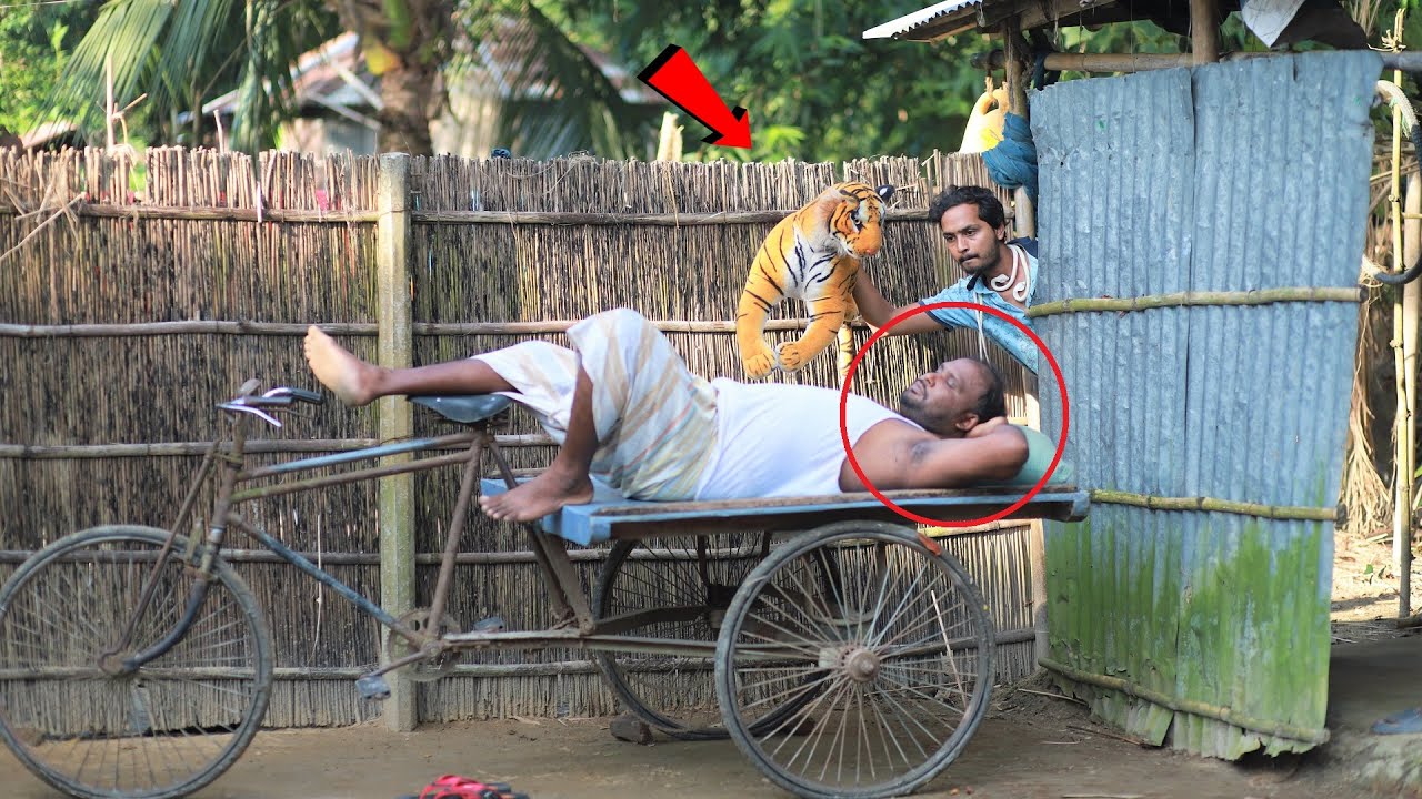 Fake Tiger And Fake Snake Prank on Sleeping Guy! New Funny Jokes Video For Laughing!!