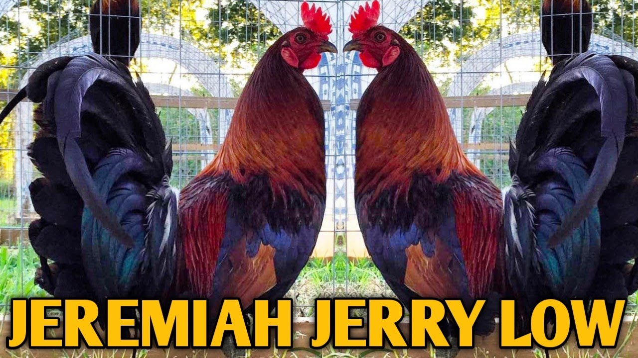 Col Givens Hatch Sweater McGinnis Grey - JEREMIAH JERRY LOW FARM