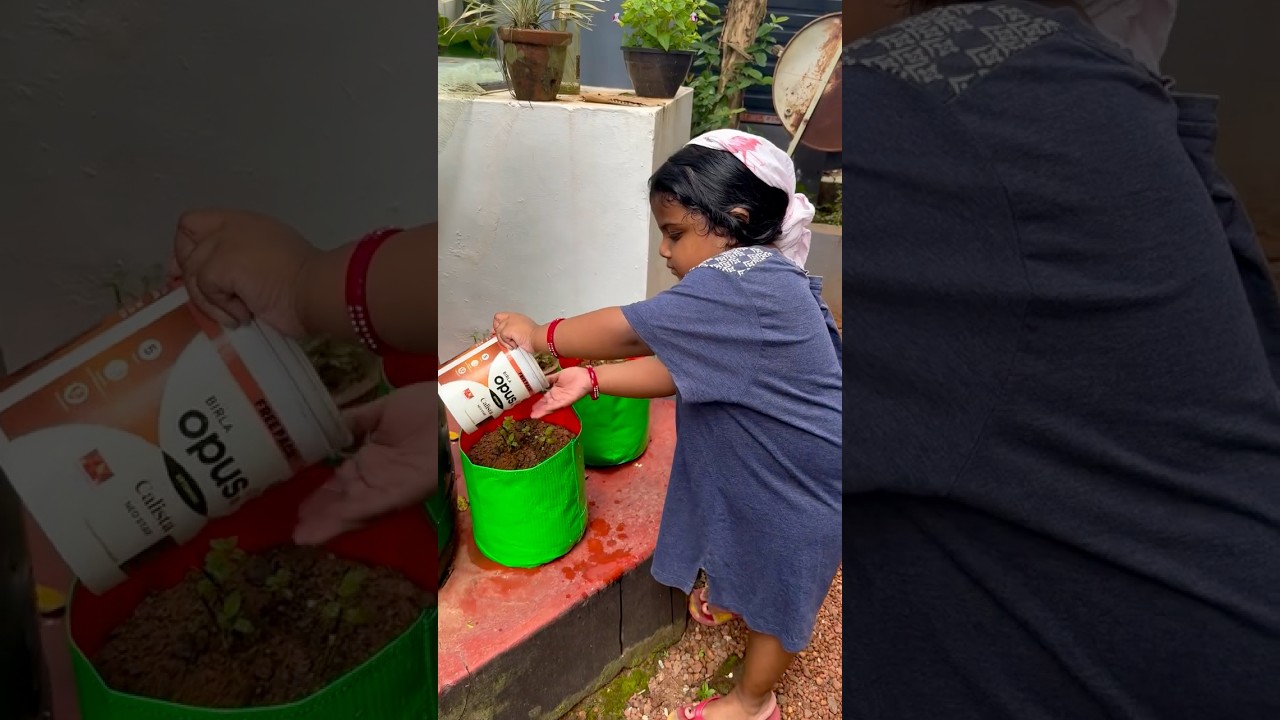 വെറുതെ അല്ല നുന്നൂസ്...| #draupadi #vaidyan #sujithvaidyan #tastecruiser #entertainment