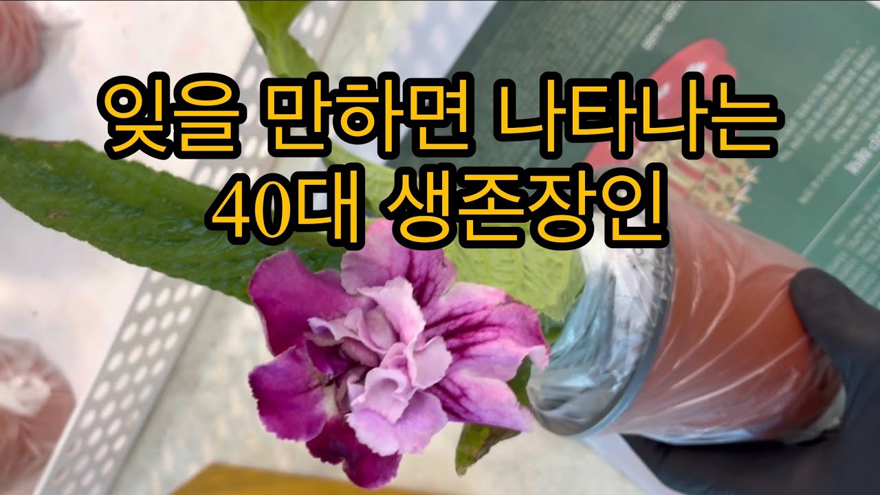 #[11] 사람공포증 40대 여자ㅣ메말라 버린 마음..연기라도 잘 하고 싶다.