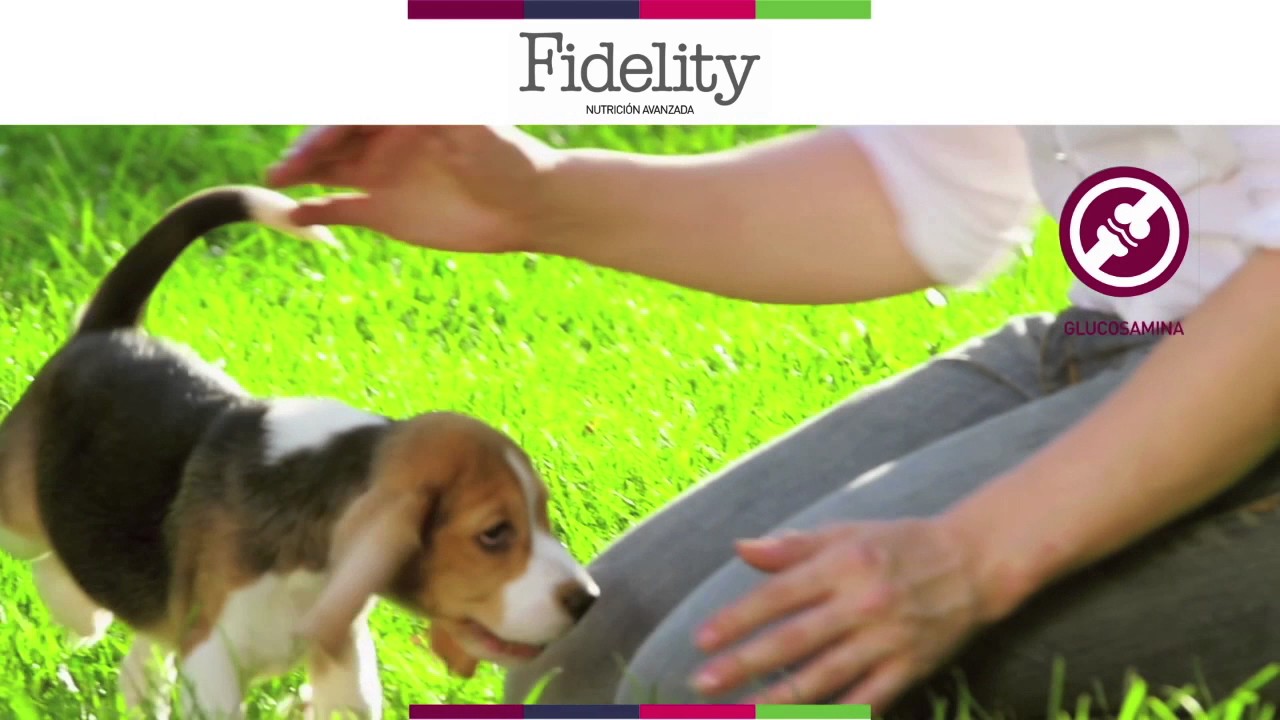 Pienso Fidelity , Pienso Natural