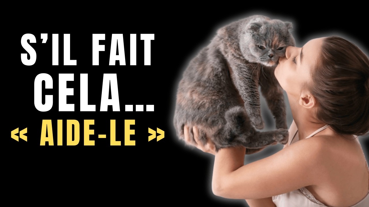 Si Votre Chat Fait Cela, Il Demande de l’Aide : 10 Signes Silencieux