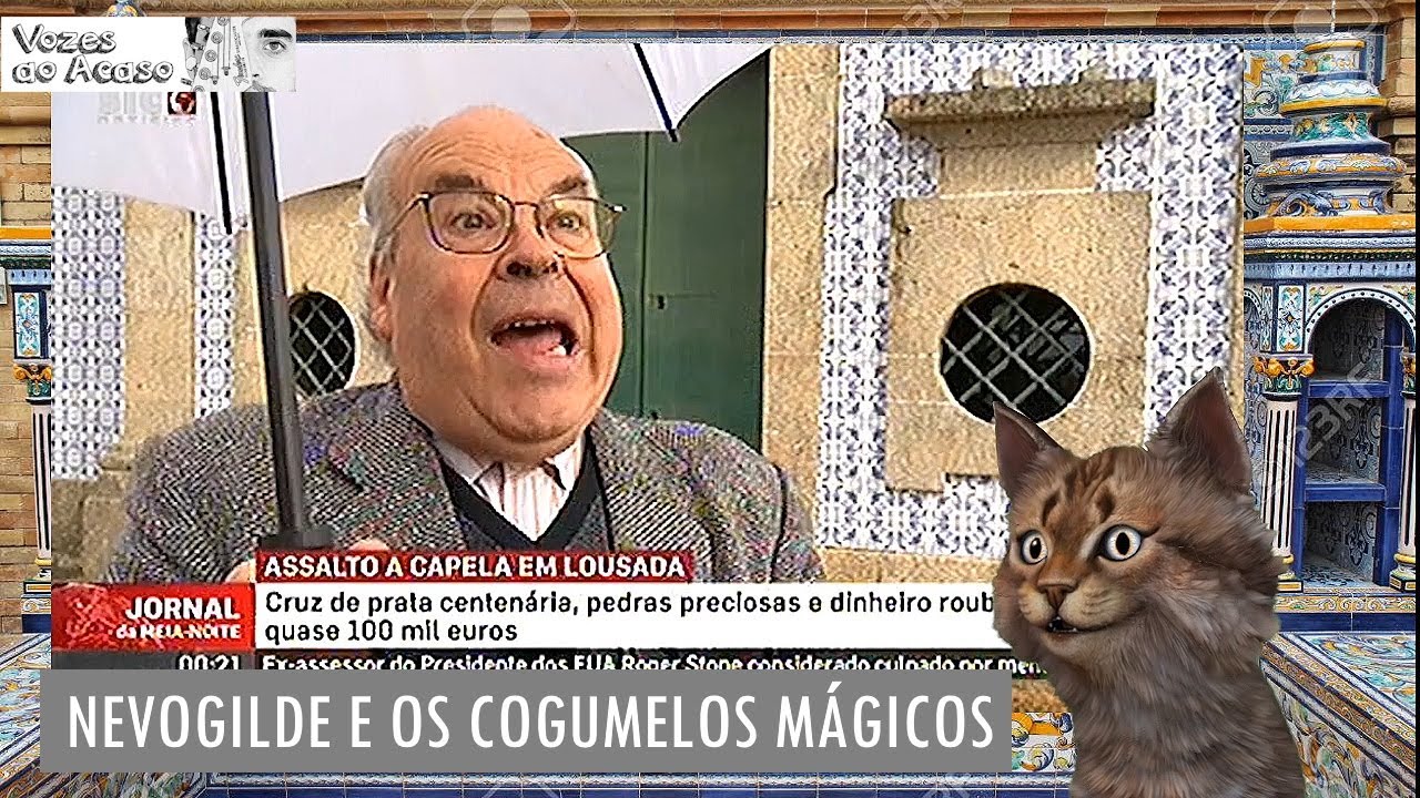 [GATO MALAIKO] - Nevogilde e os cogumelos mágicos.