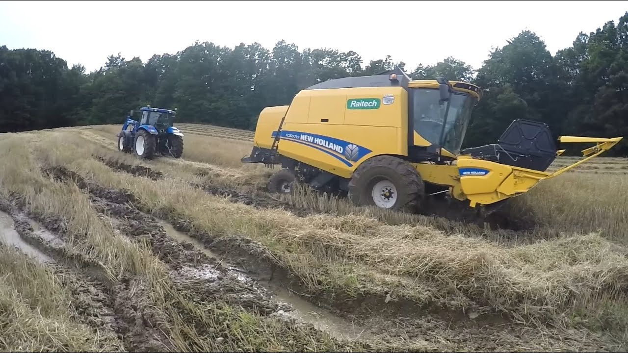 Żniwa 2016 ♦ Wtopa ♦ New Holland T7 Blue power, TC5070, TS125A