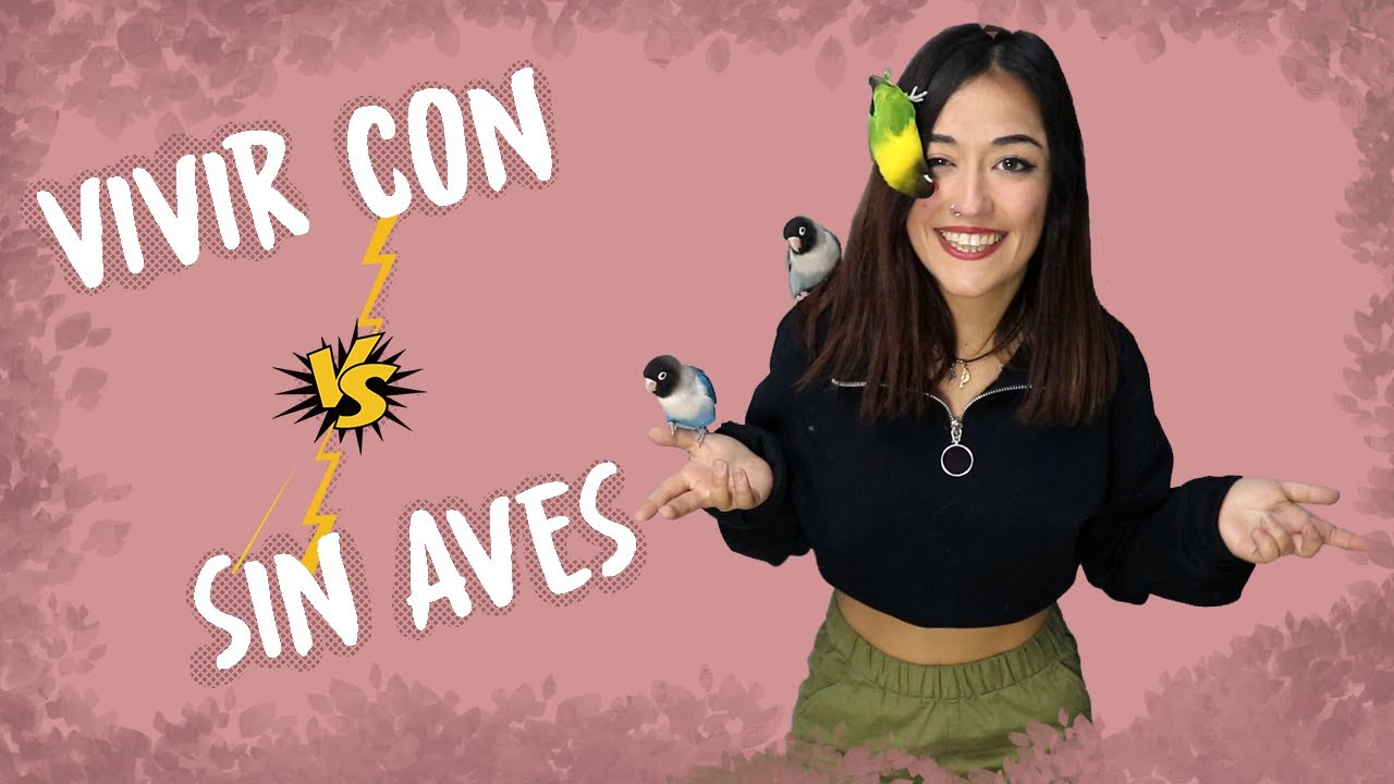 VIVIENDO CON ANIMALES - PARTE 1