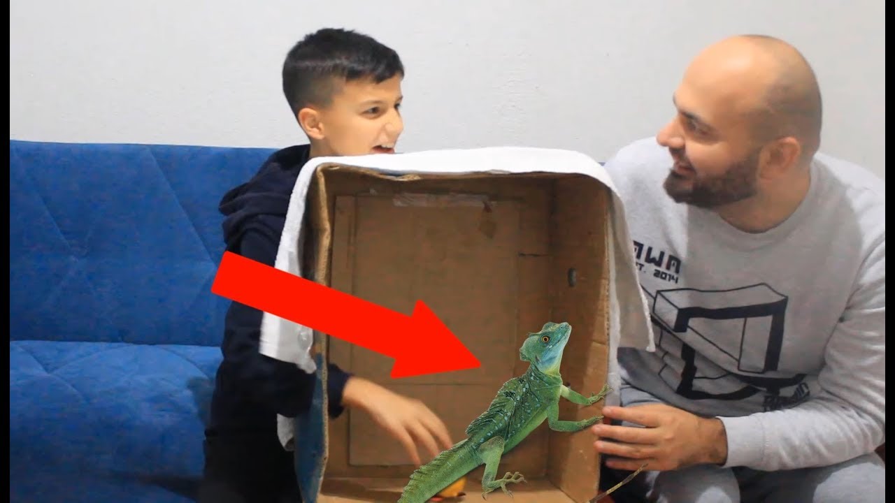Qka ka ne PAKET !!!