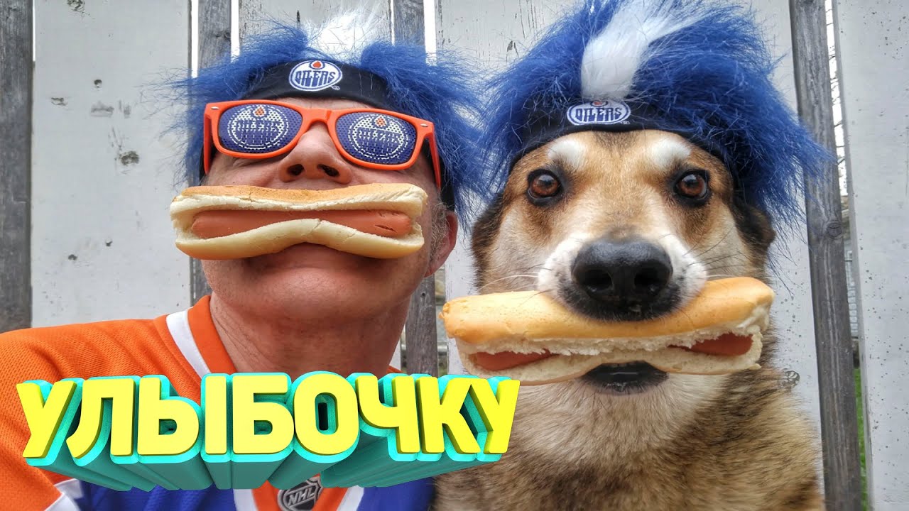 ЛУЧШИЕ ПРИКОЛЫ 2024 угар до слез тест на психику мемы смешные видео попробуй не засмеяться coub #96