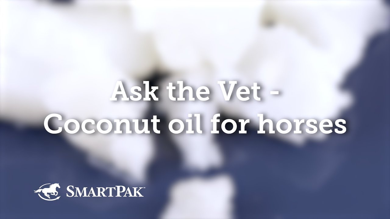 Ask the Vet - Coconut oil for horses