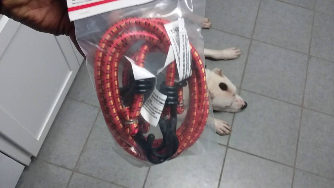 Building Kane the XL Pitbull a Springpole