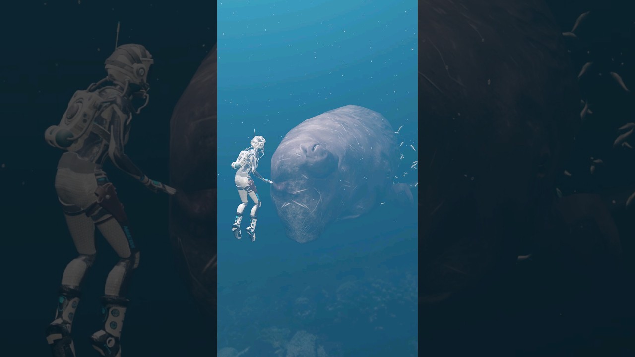 Pygmy Sperm Whale Vs Blue Whale