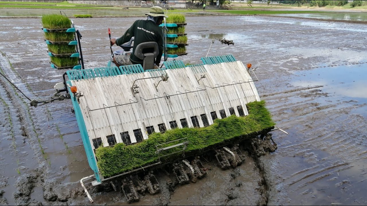 Mechanical Rice Transplanter   / # 13Vlog