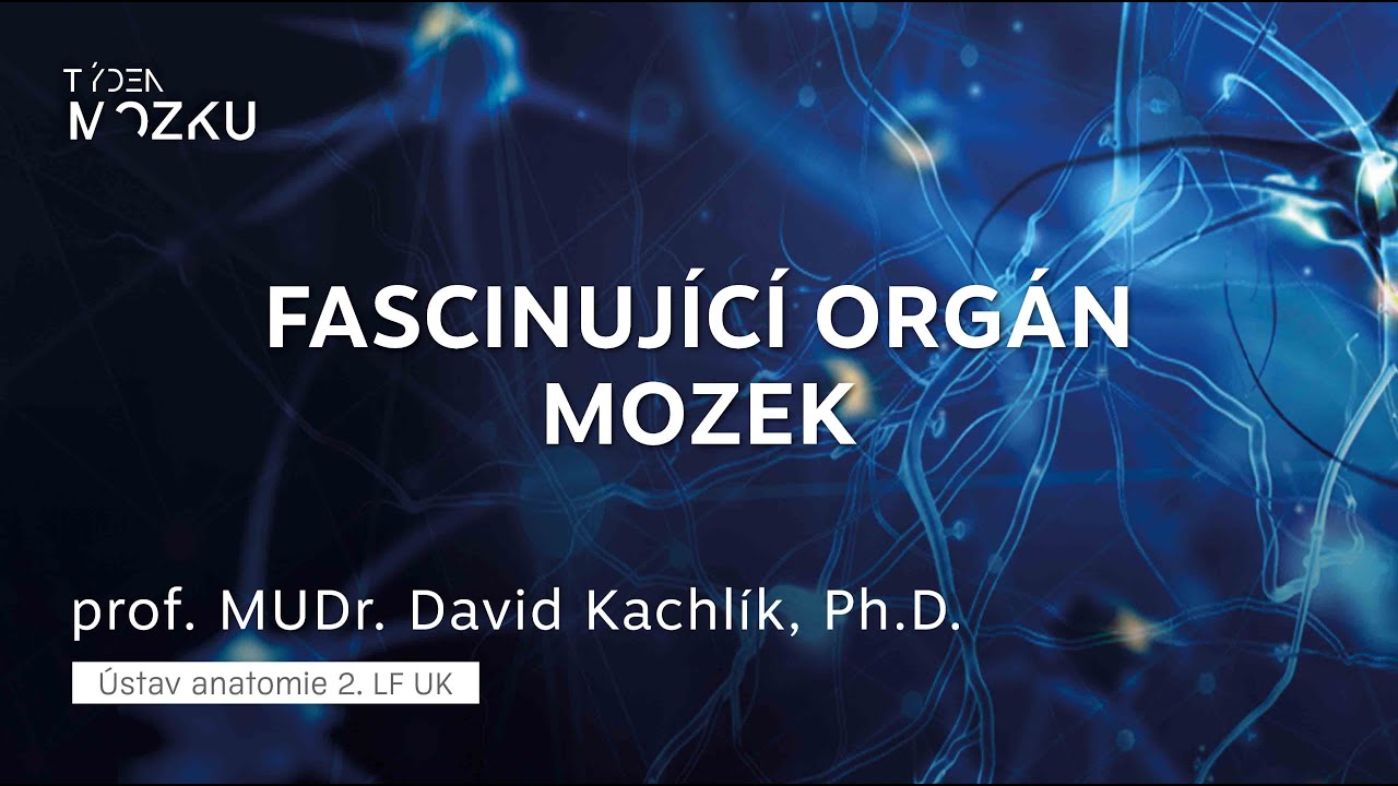 Fascinující orgán - mozek