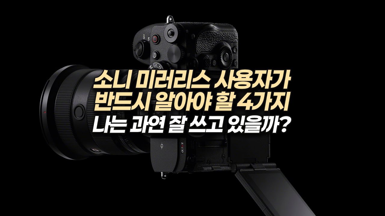 [소니 초점모드] 소니 유저라면 반드시 구별해야할 4가지 모드! 중급자로 가는 한걸음 with a7R5