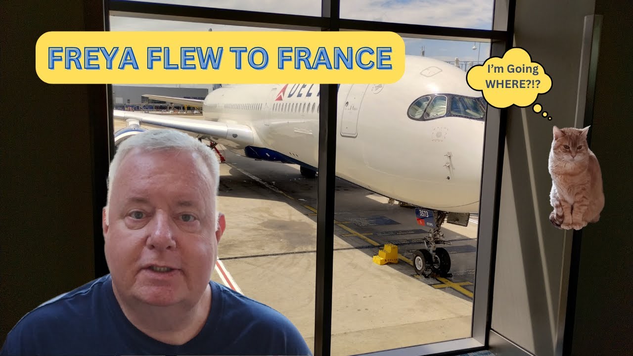 Moving My Cat to France Was CRAZY Stressful But Worth It