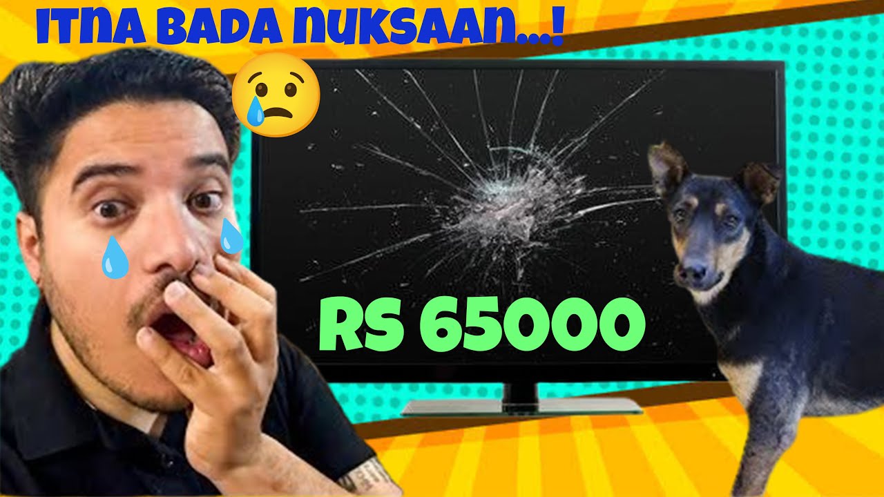KAALU NE ITNA BADA NUKSAAN KAR DIA😢 @THE HIMALAYAN HUSKY