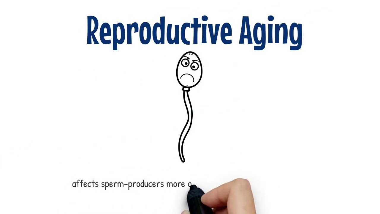 Nuts & Bolts: Reproductive Aging