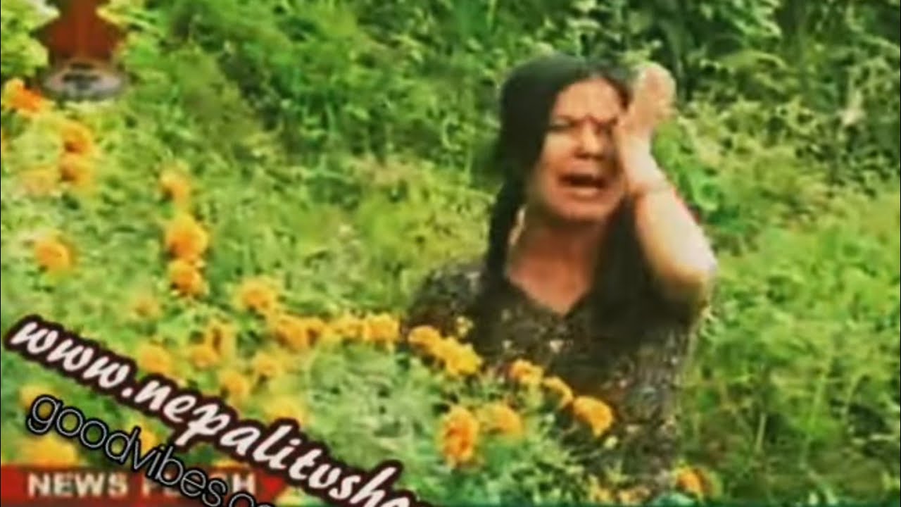 Meri Bassai &bull; 23rd August 2011
