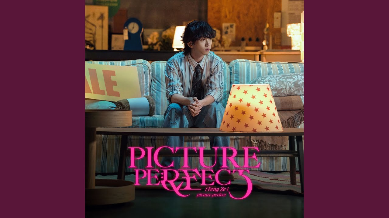 PICTURE PERFECT