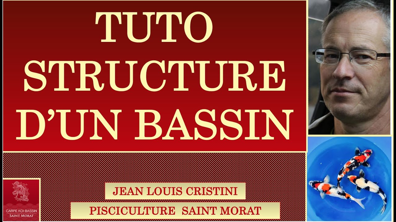 CONSTRUIRE UN BASSIN A CARPE KOI - LA STRUCTURE DU BASSIN