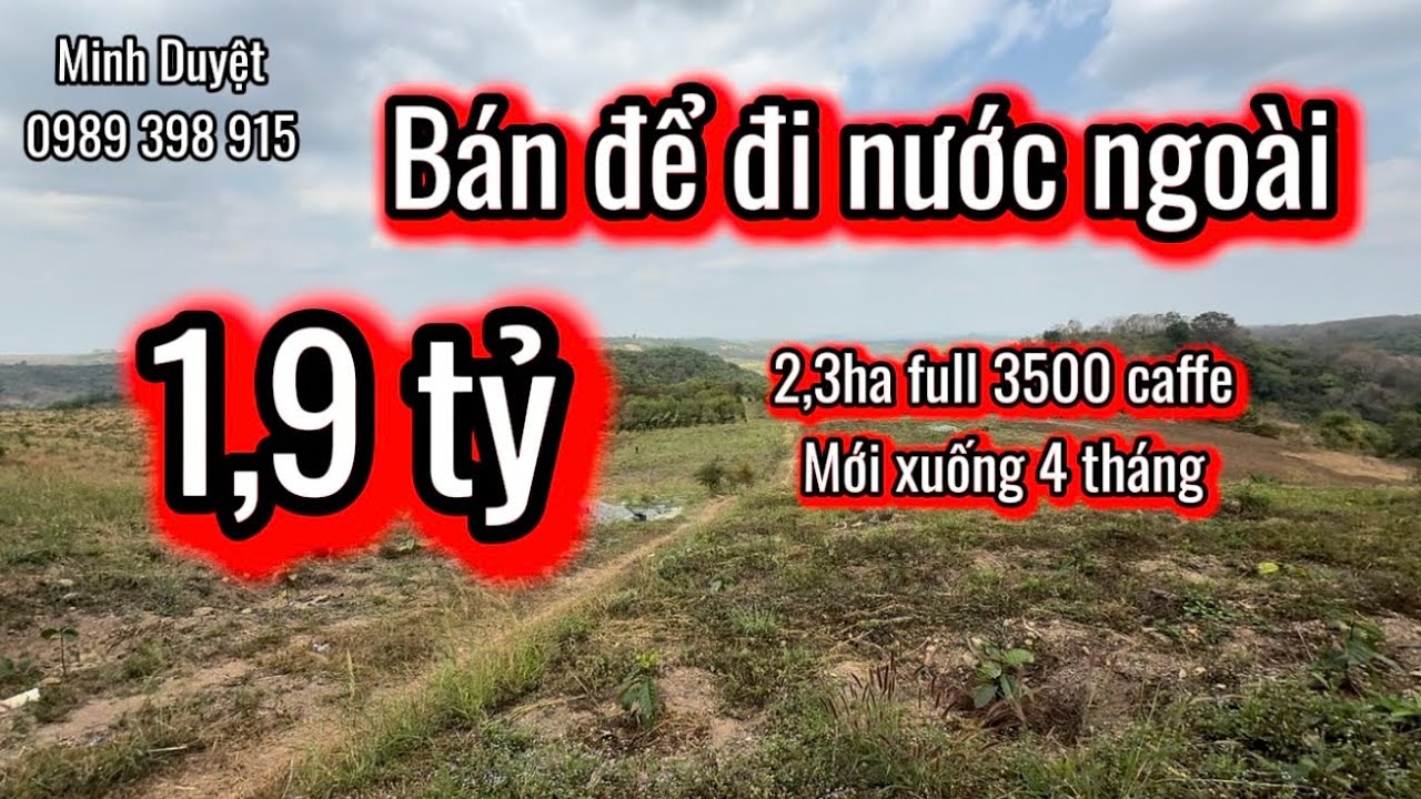 Lô 197| đất rẻ DaK Nông cần bán đi nước ngoài 2,3ha 1,9 tỷ