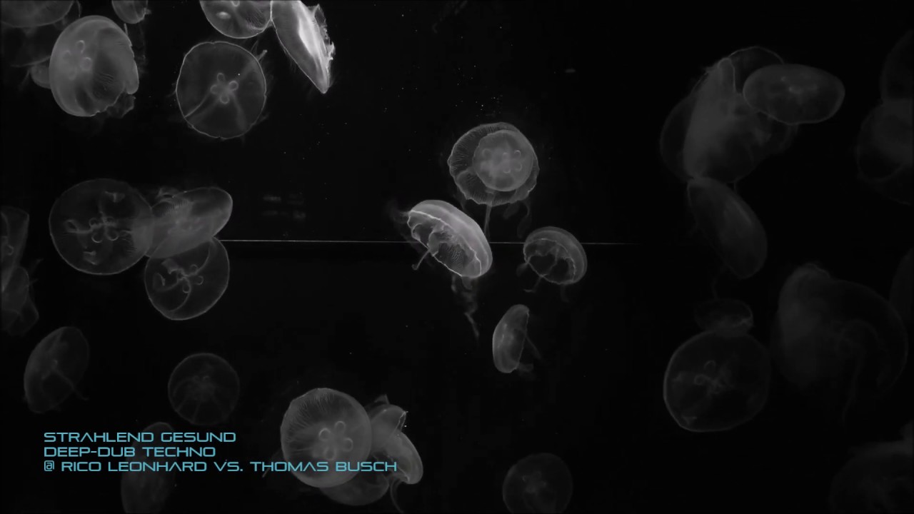 Strahlend Gesund - Deep Dub Techno @ rico leonhard vs. thomas busch