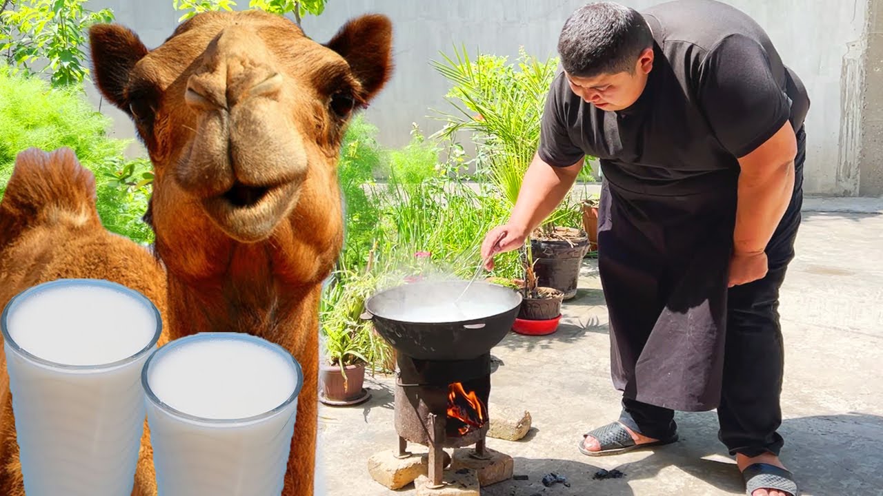 SWEET RICE with Camel milk