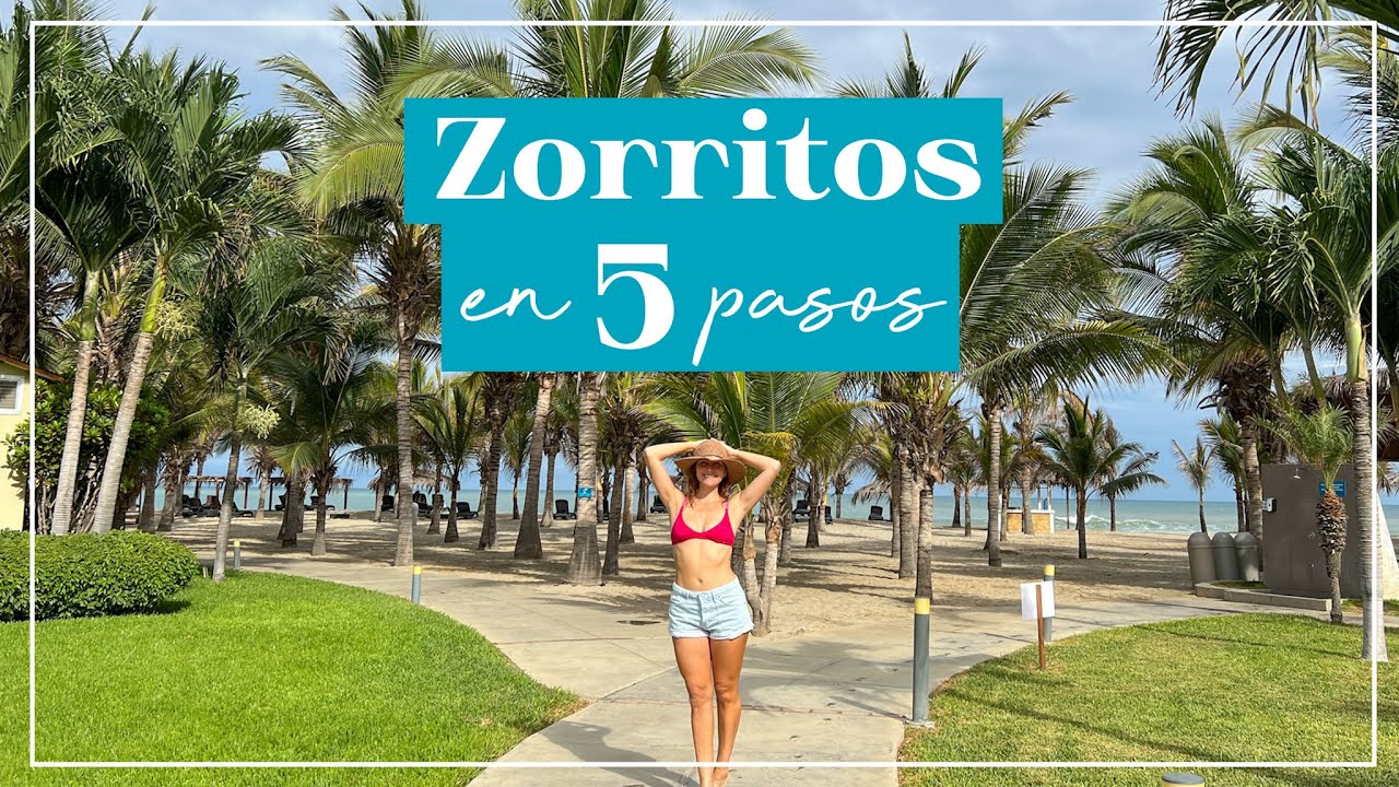 5 pasos para disfrutar de Zorritos 🙌🏻