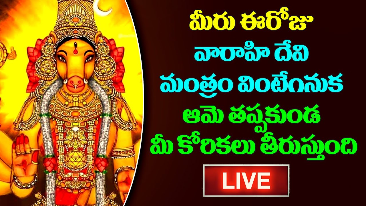 మీరు ఈరోజు వారాహి దేవి మంత్రం వింటేగనుక ఆమె తప్పకుండ మీ కోరికలు తీరుస్తుంది