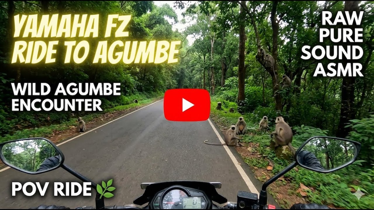 Yamaha FZ Ride to Agumbe | POV Ride #12 | RAW Pure Sound 4K Video | ASMR | #djiaction4