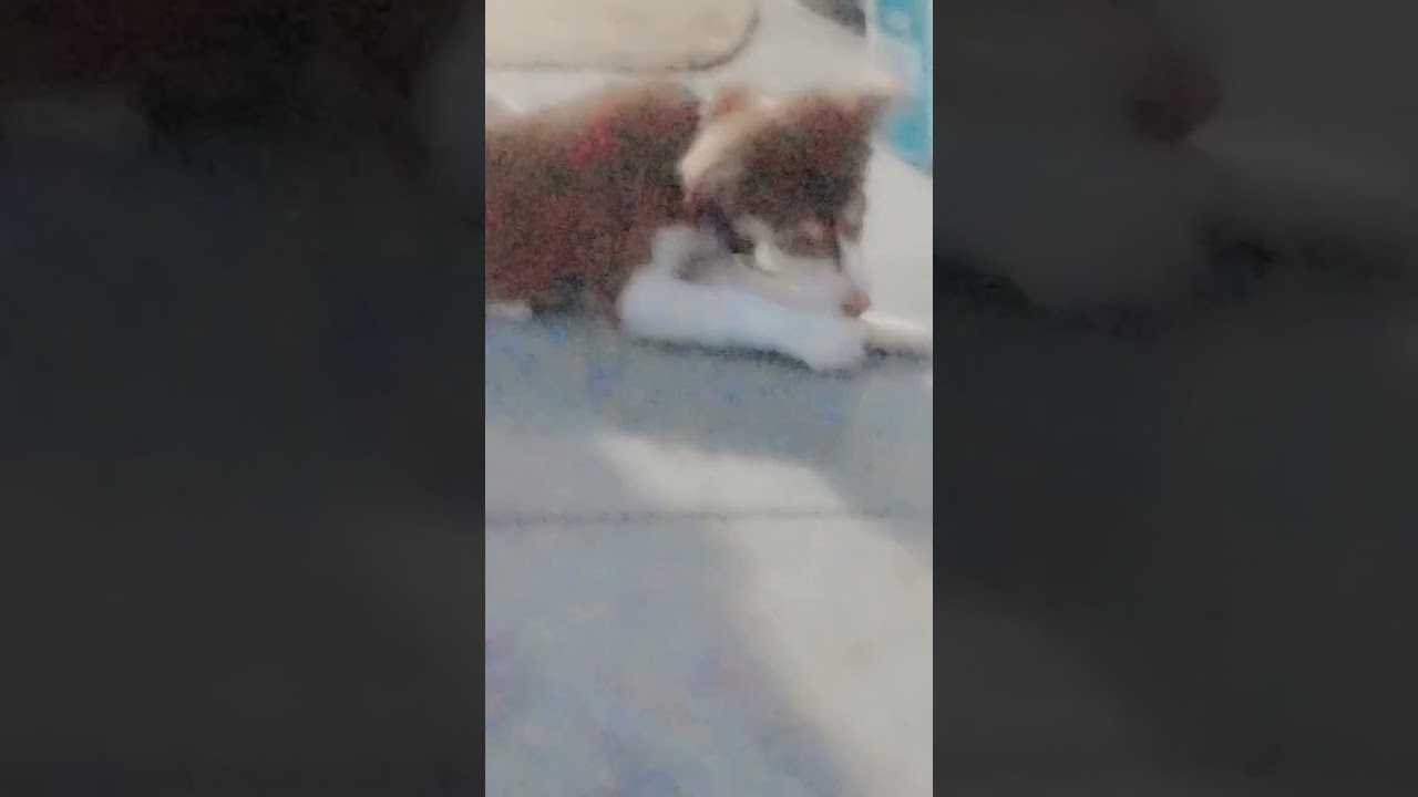 hadi khara h gost 😒🧐 #short#video