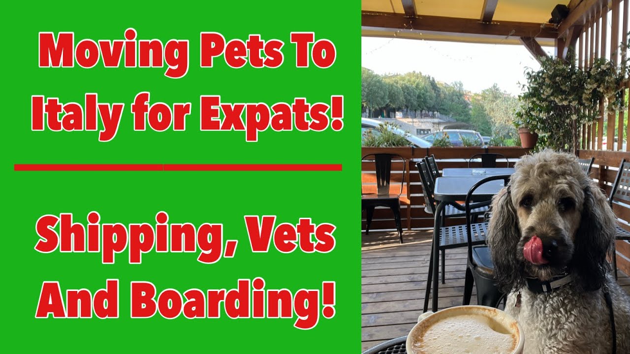Moving to Italy with your pets!. Plus Vets, Boarding & EU Pet Passport!