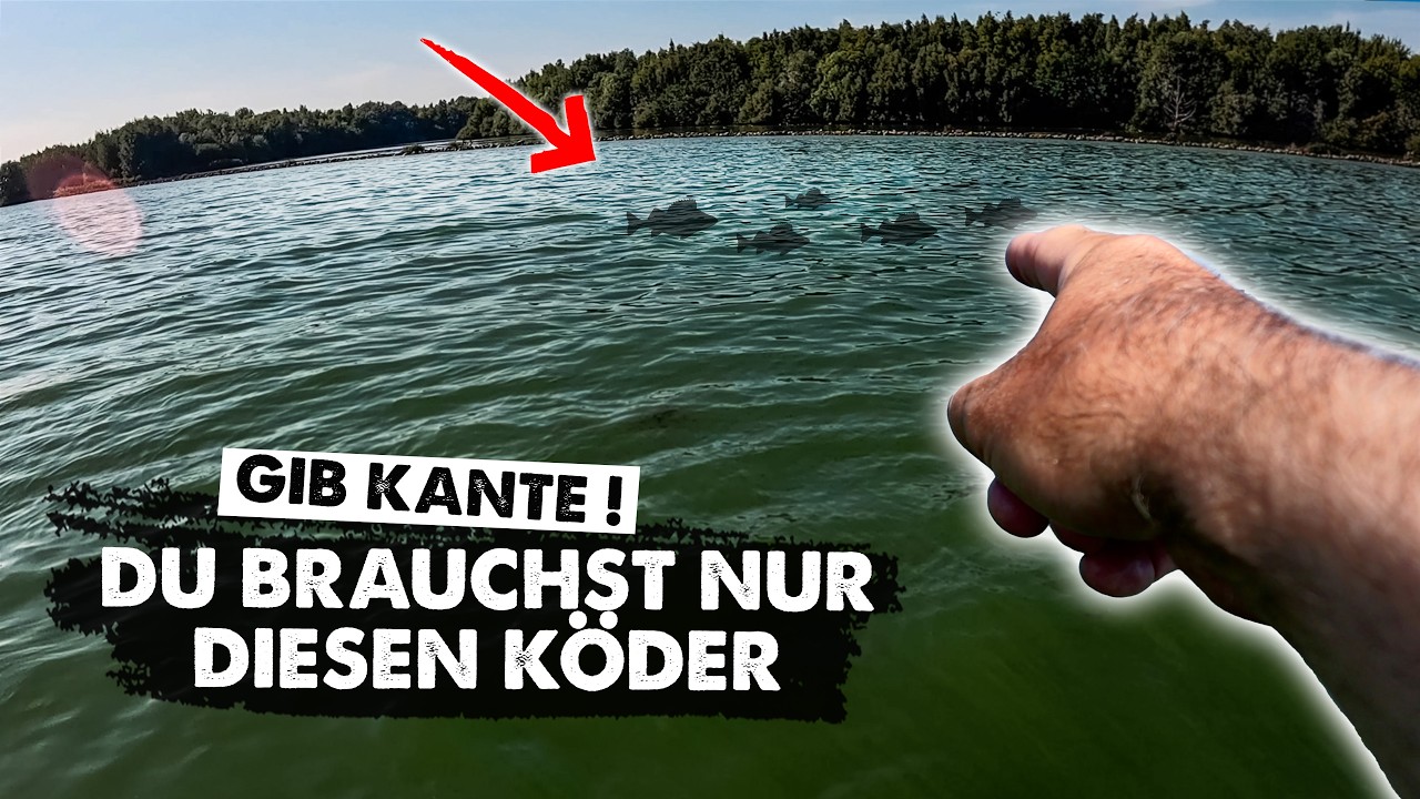 Kraut-Crasher: JIG-SPINNER liefert IMMER!