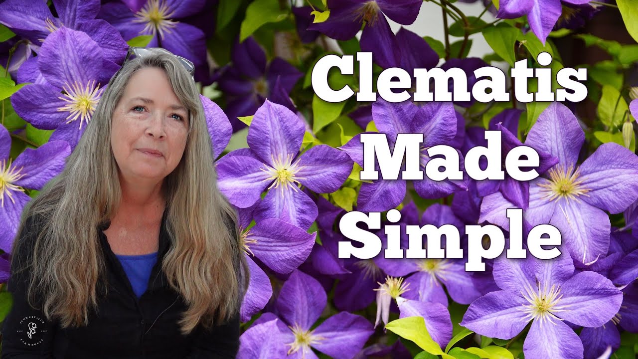 How to Grow Clematis in Your Garden: Simple Tips That Really Work!