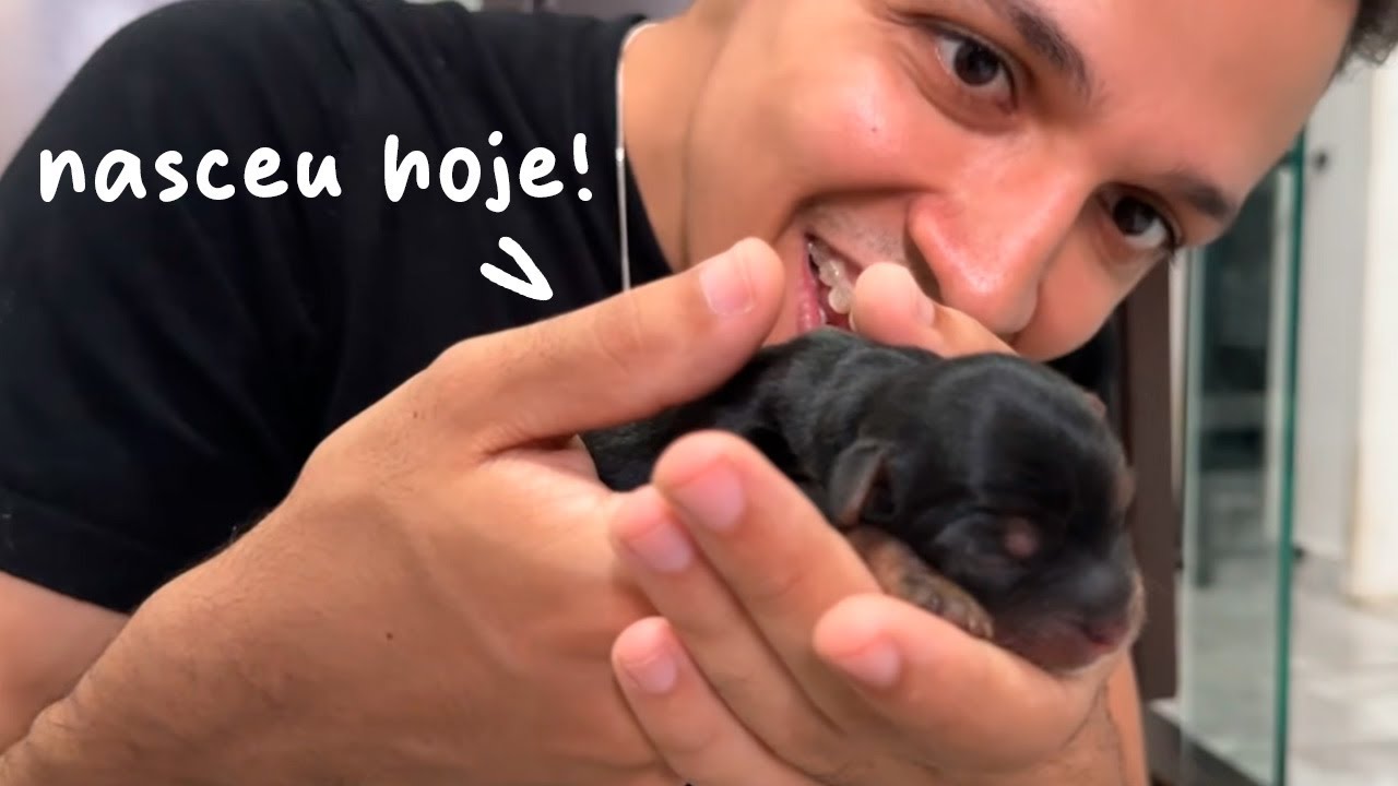 OS CACHORRINHOS NASCERAM!