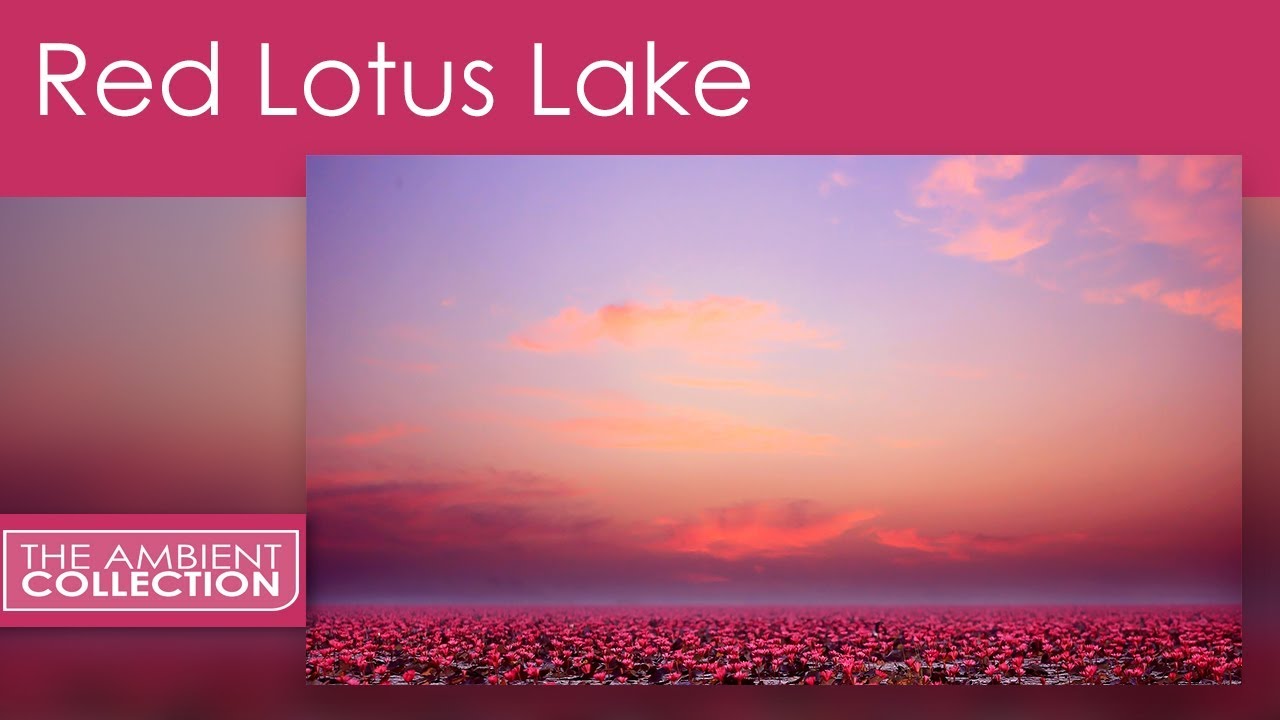 Virtual Boat Tour  on one of World Strangest Lake - Red Lotus Lake- Udon Thani -Thailand