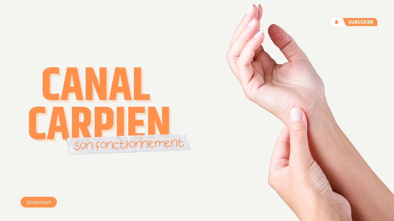 Formation geste et posture - Fonctionnement du canal carpien