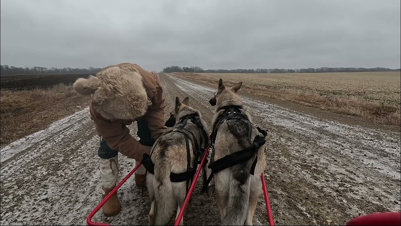 Hilda and Herman take a Sniff Break