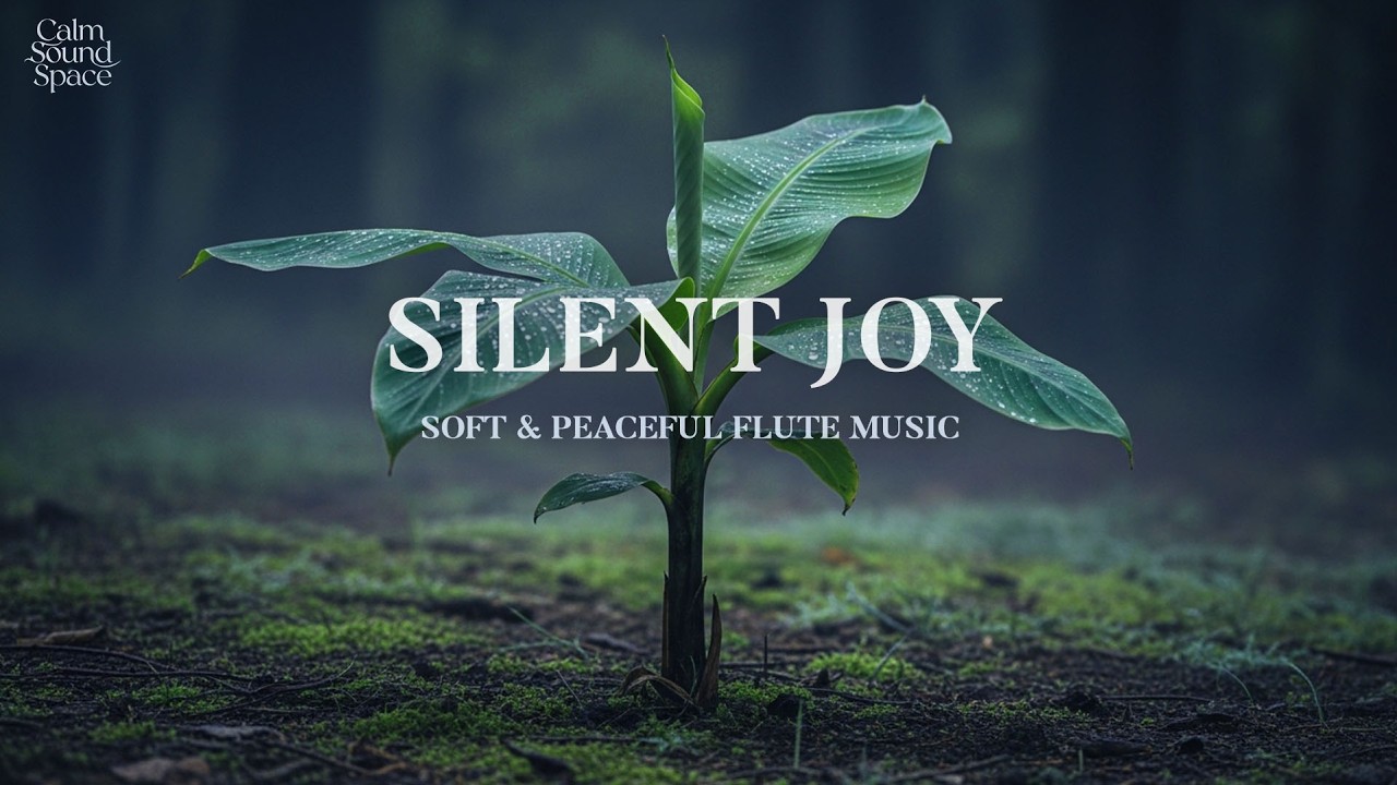 Gentle and calming flute melody for evening peace 🎶 guiding you into deep natural sleep 😴🌌