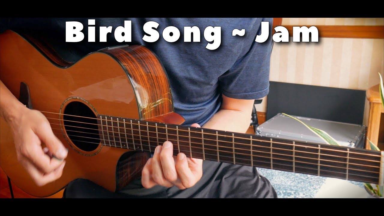 Bird Song - Jeff Williams Guitar Jam - Grateful Dead