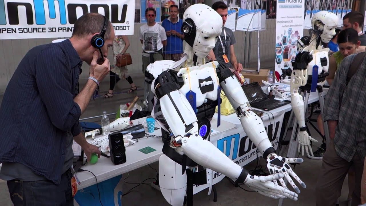 InMoov Demo at Maker Faire Paris 14