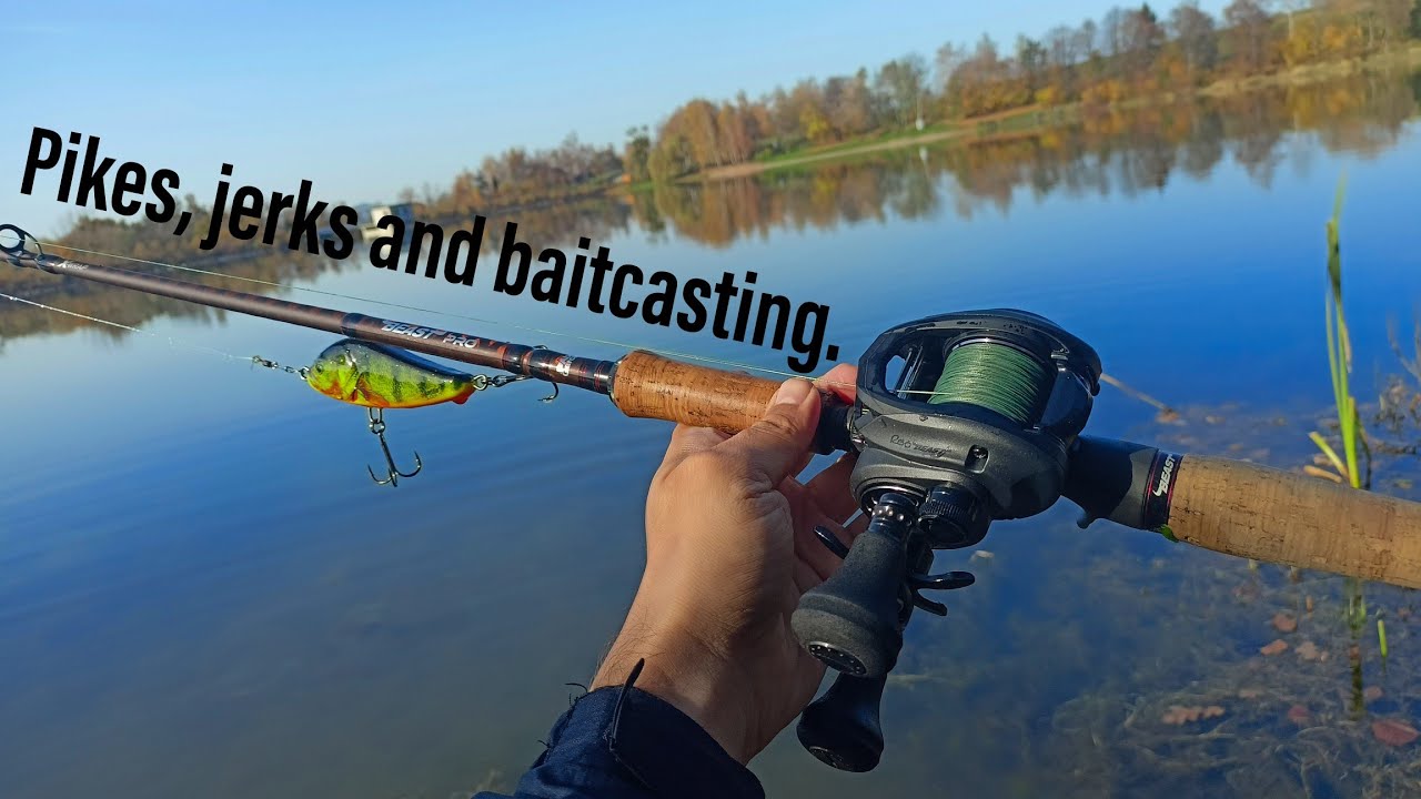 Štiky, jerky a baitcast. Abu Garcia REVO BEAST.