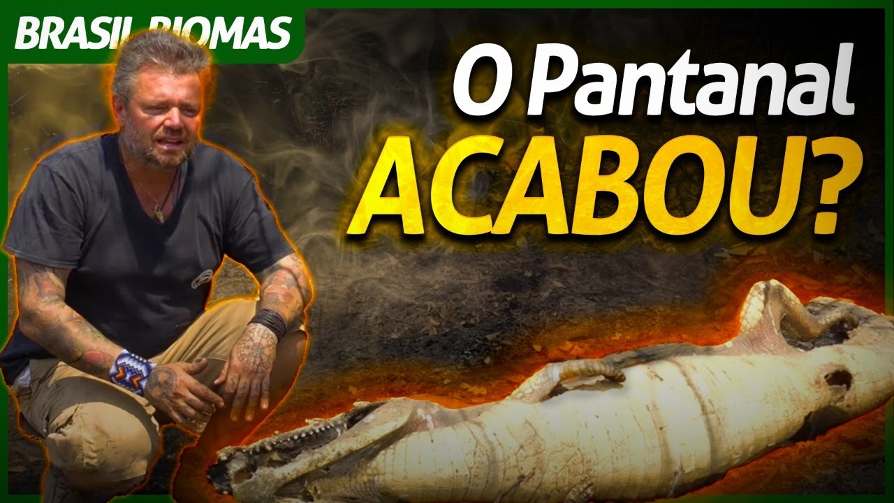 A DESTRUIÇÃO QUE O FOGO CAUSOU AO PANTANAL! | RICHARD RASMUSSEN