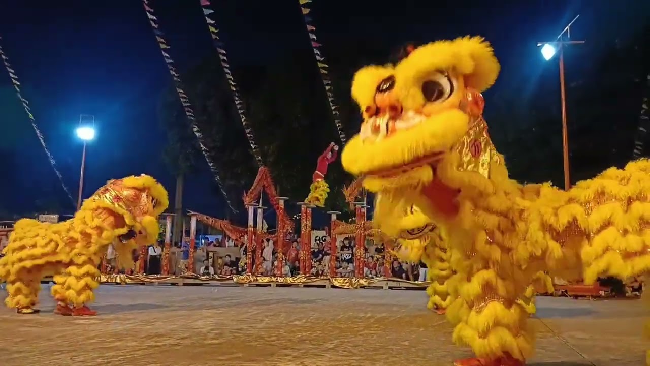 Phần cuối ĐẠI HỘI VÕ LÂM Lân - Sư - Rồng tại Trung Tâm Văn Hóa nghệ Thuật Bình Dương 2026