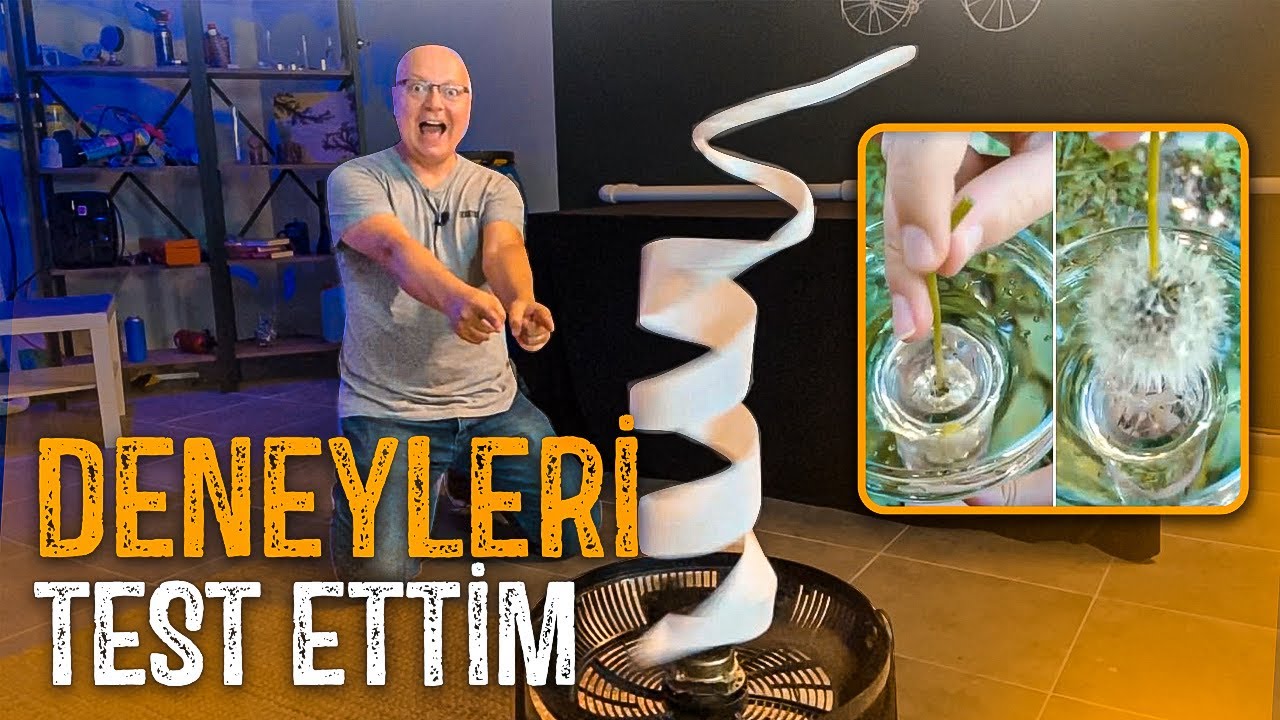 SU GEÇİRMEZ ÇİÇEK DENEYİ & TUVALET KAĞIDI SPİRALİ (#deneyefsaneleri)