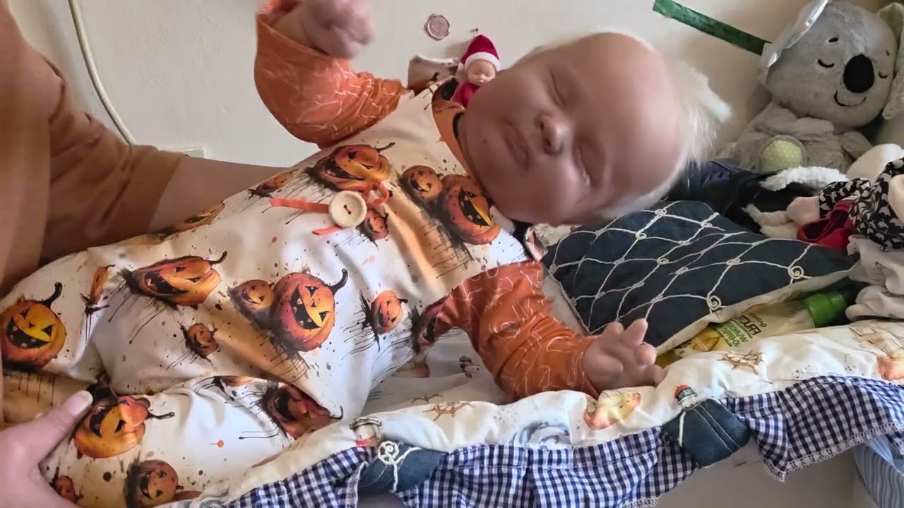 🎃Joseph🎃  kleiner dicker Kürbis 🕷🕸👻🧌🧙