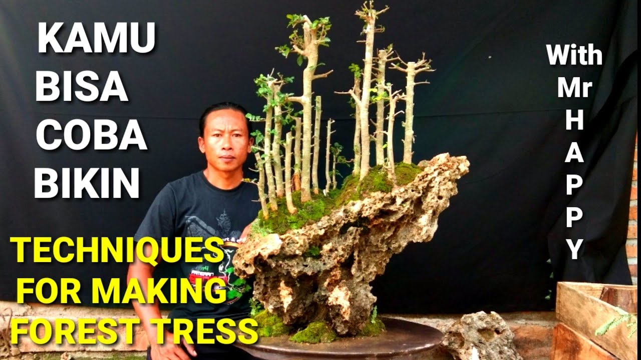 Tutorial Bikin Panjing Grouping hutan(forest),Bonsai Serut,With Mas Happy