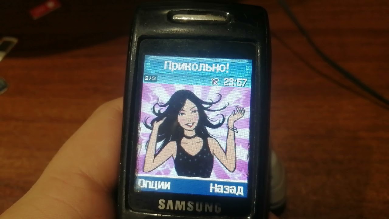 Samsung D500 MMS Templates