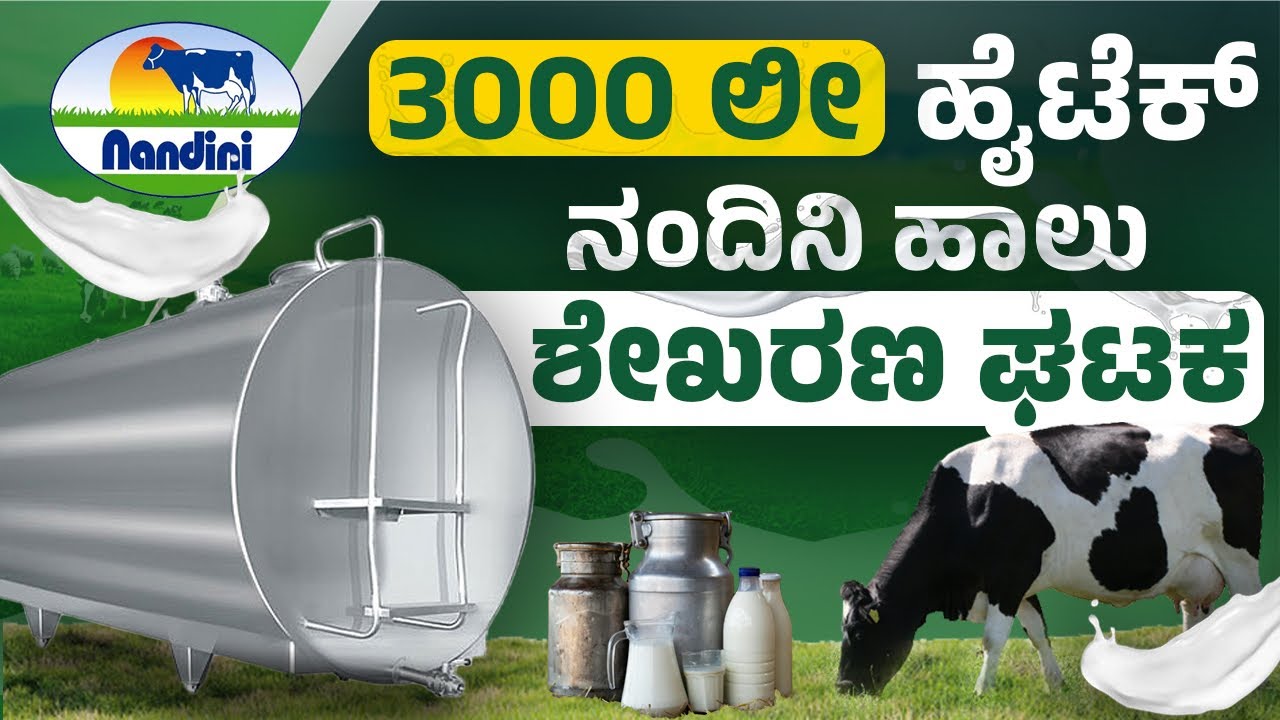 Nandini BMC Center: KMF ನಂದಿನಿಯ BMC ಕೇಂದ್ರದಲ್ಲಿ ಹೈಟೆಕ್ ಹಾಲು ಶೇಖರಣೆ! | Kannada Farmer | KMF Office