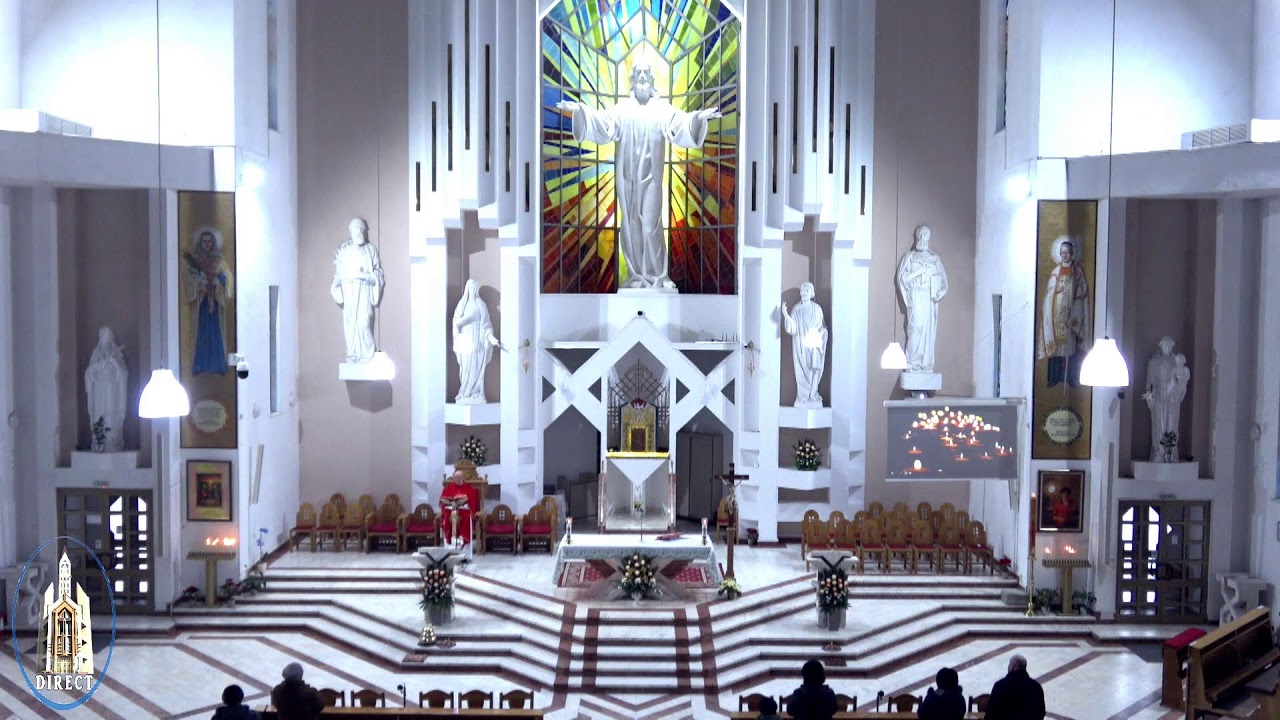 LIVE - Biserica Romano-Catolică  Sfinţii Petru si Paul  Bacau